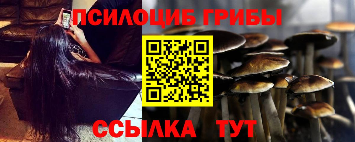 Галлюциногенные грибы прущие грибы  Вход с VPN  Псилоцибиновые грибы Psilocybine cubensis  Таганрог 