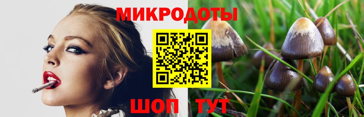 Псилоцибиновые грибы ЛСД Таганрог