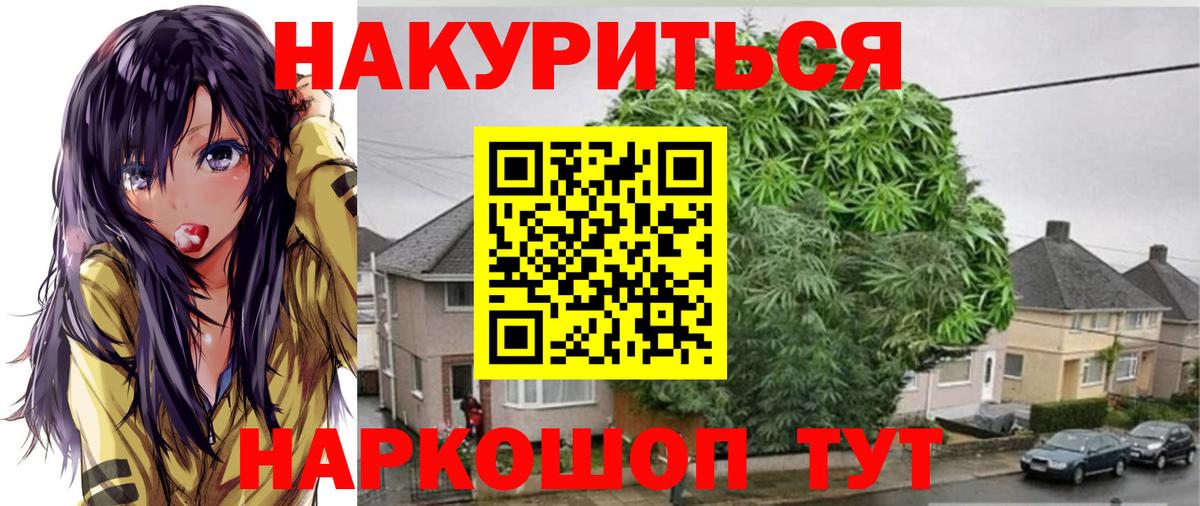 Конопля Bruce Banner Таганрог